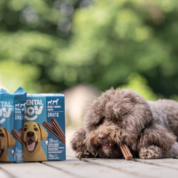 Bauzaar DentalJoy Dog Adult No Grain Medium/Large Snack Dentali Vendita calda