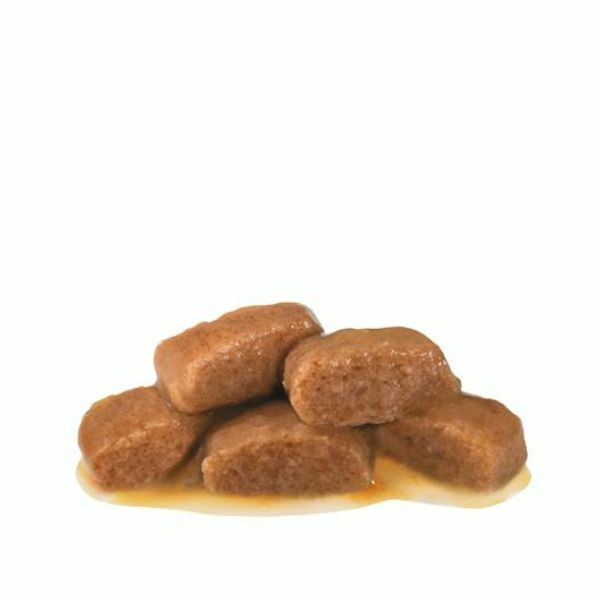 Bauzaar Royal Canin Gastrointestinal Fibre Response in salsa multipack 12x85 gr Offerte stagionali
