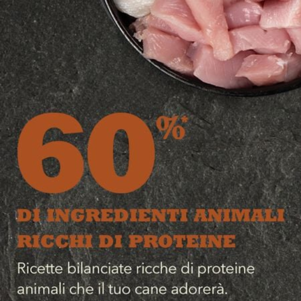 Bauzaar Acana Adult Large Breed Recipe Grain Free Fino al 55% di sconto