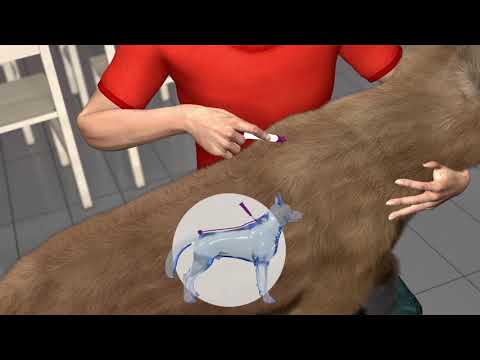 Bauzaar Vectra 3D 3 pipette per cani Enormi sconti