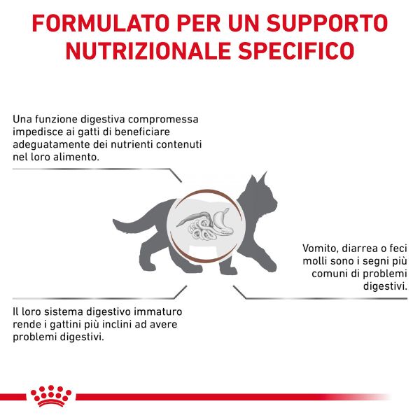 Bauzaar Royal Canin Gastrointestinal Kitten Feline Esporta salva
