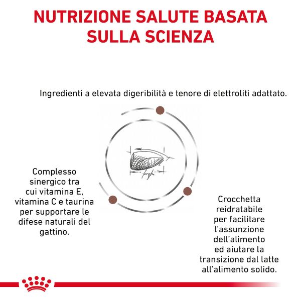 Bauzaar Royal Canin Gastrointestinal Kitten Feline Esporta salva