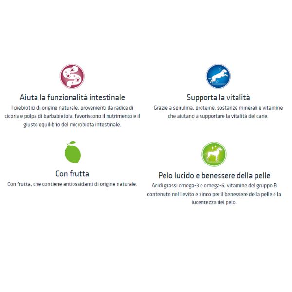 Bauzaar Natural Trainer Adult Medium con Pollo Fresco e riso Duty-free