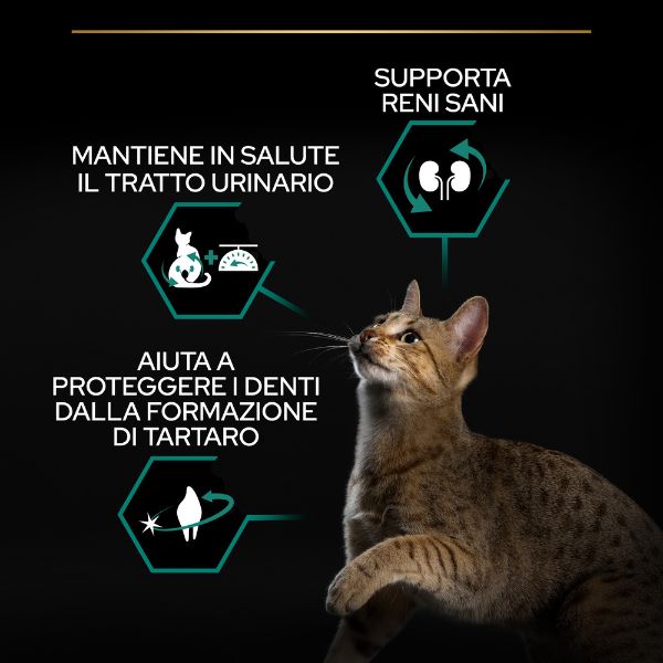 Bauzaar Purina Pro Plan Renal Plus Sterilised Adult 1+ con Salmone Pezzi Unici