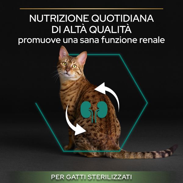 Bauzaar Purina Pro Plan Renal Plus Sterilised Adult 1+ con Salmone Pezzi Unici