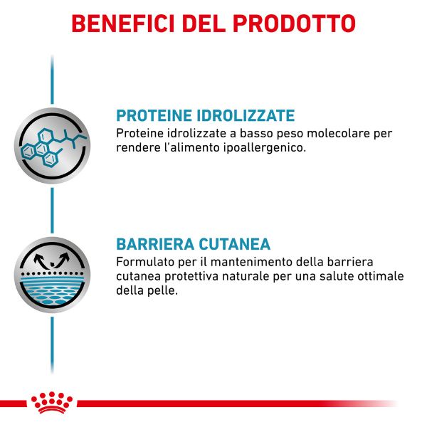 Bauzaar confezione da 6 Shopping Online