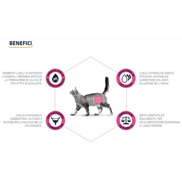 Bauzaar Advance Veterinary Diets Urinary Cat Hotsell