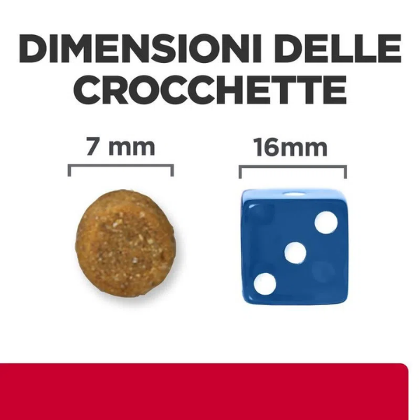 Bauzaar Hill's Prescription Diet c/d Multicare Feline con Pesce Oceanico Offerta San Valentino
