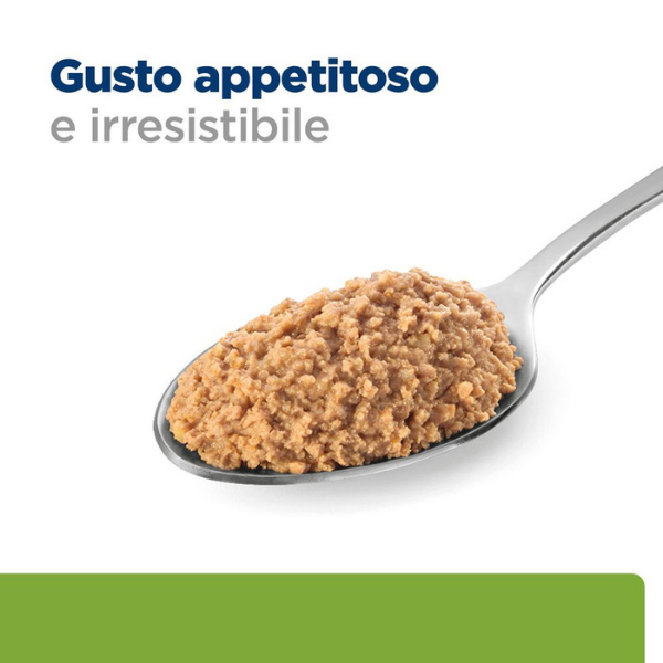Bauzaar confezione da 6 Offerta Anniversario