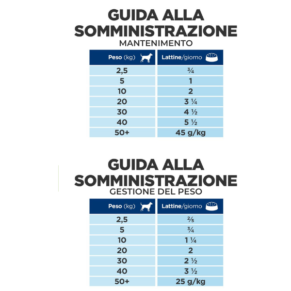 Bauzaar confezione da 6 Offerta Anniversario