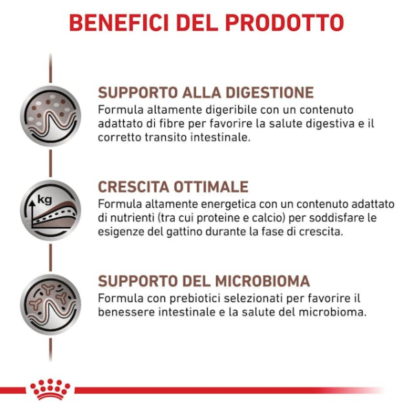 Bauzaar confezione da 6 Offerta temporanea
