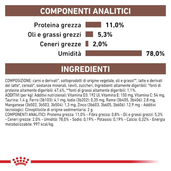 Bauzaar confezione da 6 Offerta temporanea