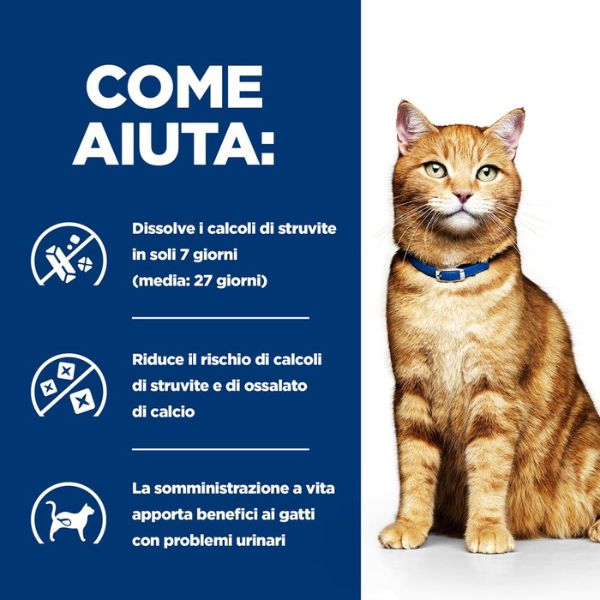 Bauzaar confezione da 12 Grandi sconti