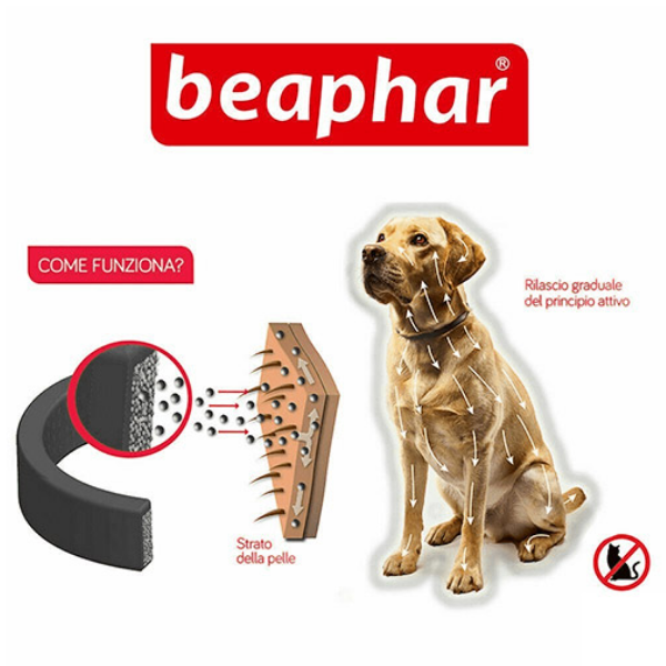 Bauzaar Beaphar Canishield Collare Antiparassitario Prezzo basso