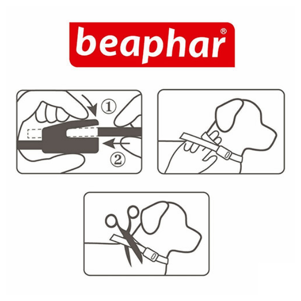 Bauzaar Beaphar Canishield Collare Antiparassitario Prezzo basso