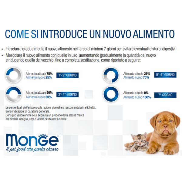 Bauzaar confezione da 32 Super Saving Price