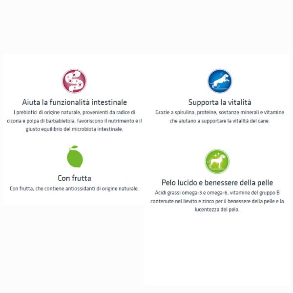 Bauzaar Natural Trainer Adult Medium con Tonno Fino al 65% di sconto