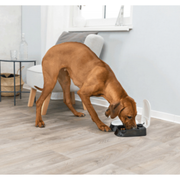 Bauzaar Distributore Automatico Doppio Tx2 Trixie Super sconto
