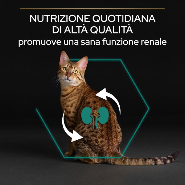Bauzaar Purina Pro Plan Renal Plus Sterilised Adult 1+ con Coniglio Trasporto libero internazionale