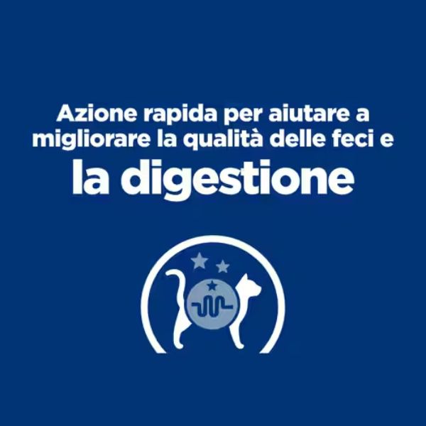Bauzaar confezione da 12 Duty-free