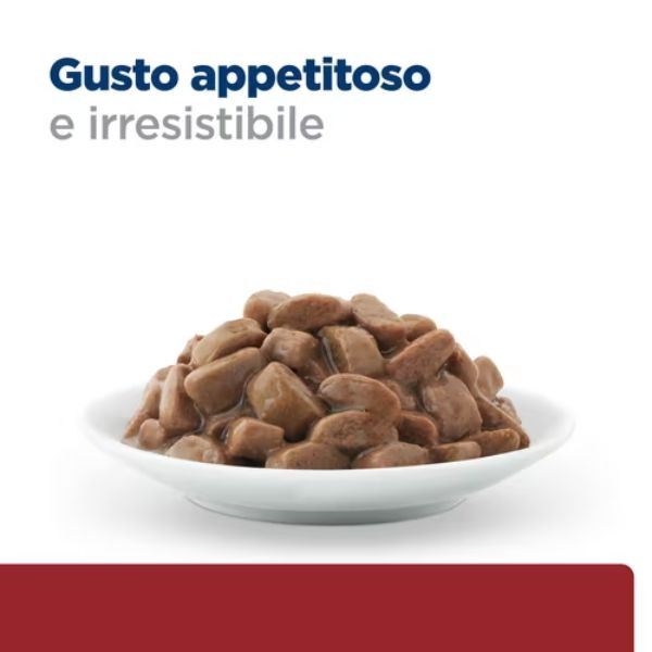 Bauzaar confezione da 12 Duty-free