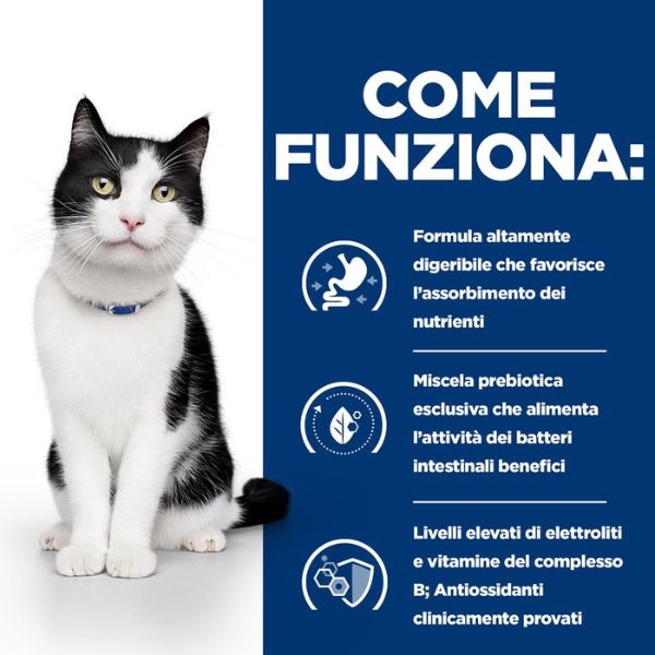 Bauzaar confezione da 12 Duty-free