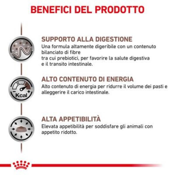 Bauzaar Royal Canin Gastrointestinal Canine 2025