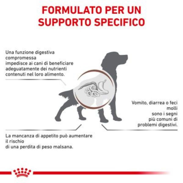 Bauzaar Royal Canin Gastrointestinal Canine 2025