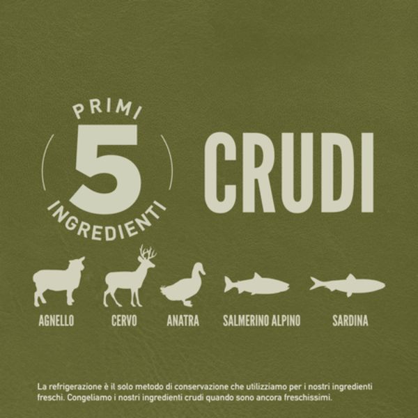 Bauzaar Orijen Tundra Dog Food Vendita