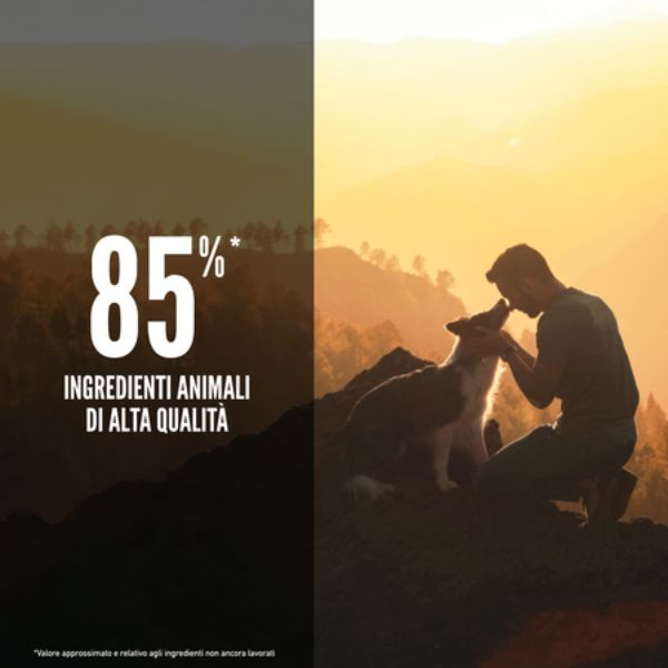 Bauzaar Orijen Tundra Dog Food Vendita