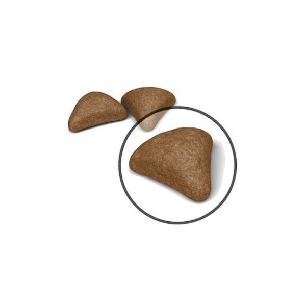 Bauzaar Royal Canin Feline Hairball Care Presa