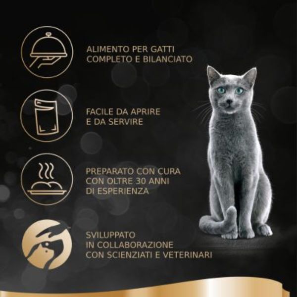 Bauzaar Sheba Selezione in salsa Multipack 12x85 gr Vendita Calda