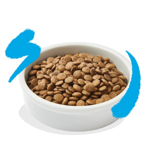 Bauzaar Edgard & Cooper Cat Adult Grain Free Salmone Nuova
