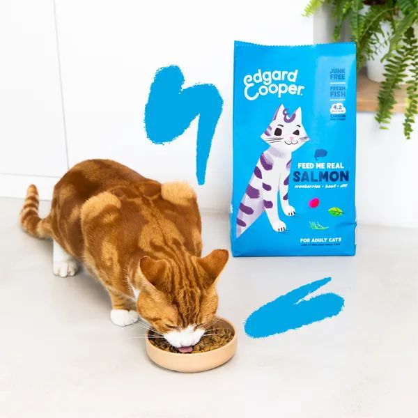 Bauzaar Edgard & Cooper Cat Adult Grain Free Salmone Nuova