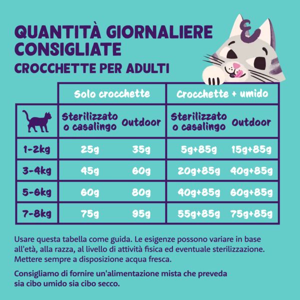 Bauzaar Edgard & Cooper Cat Adult Grain Free Salmone Nuova