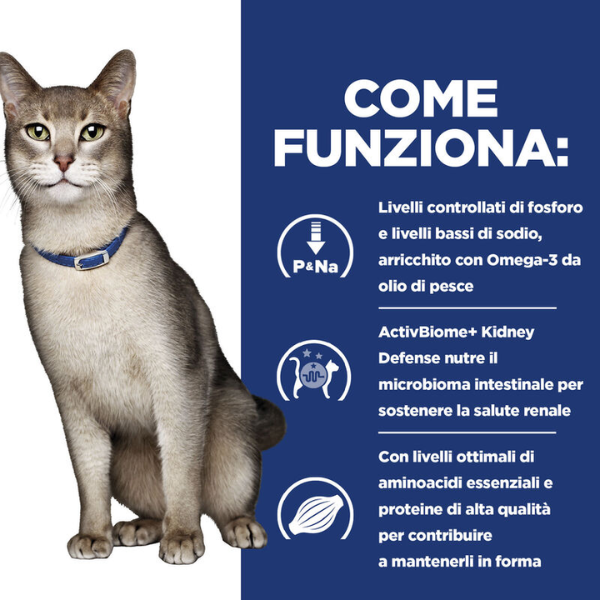 Bauzaar confezione da 6 Comprare a buon mercato