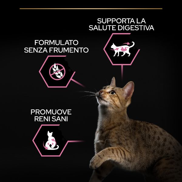 Bauzaar Purina Pro Plan Delicate Digestion Sterilised Adult 1+ con Pollo Shopping online