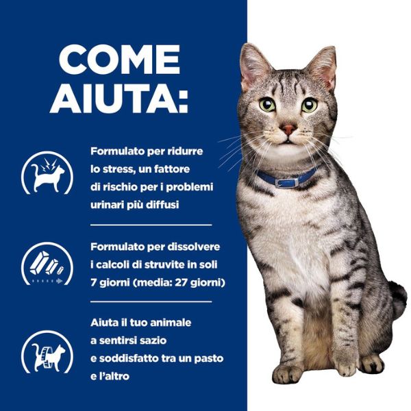 Bauzaar confezione da 12 Latest fashion