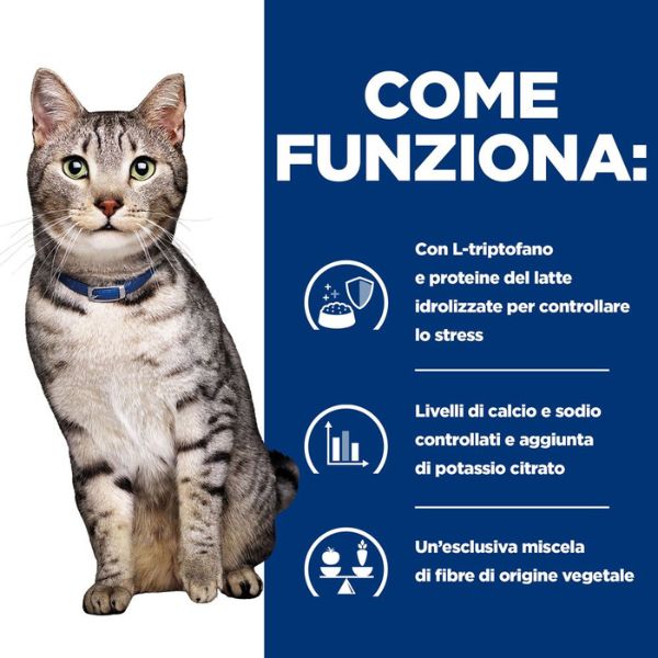 Bauzaar confezione da 12 Latest fashion