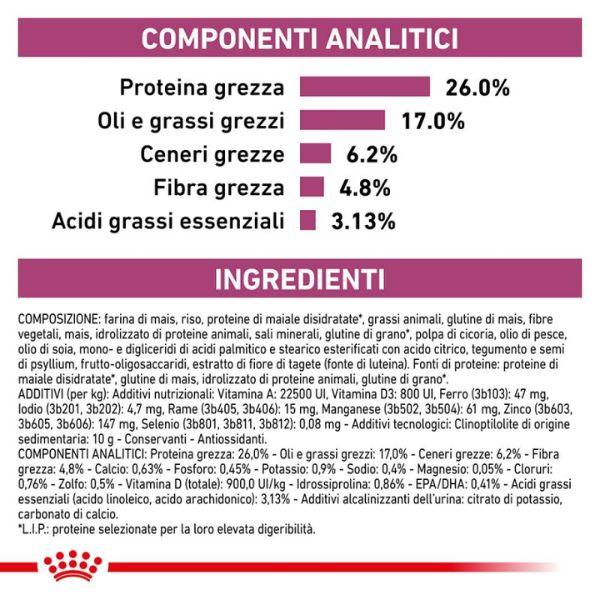 Bauzaar Royal Canin Veterinary Renal Special Feline Online Outlet