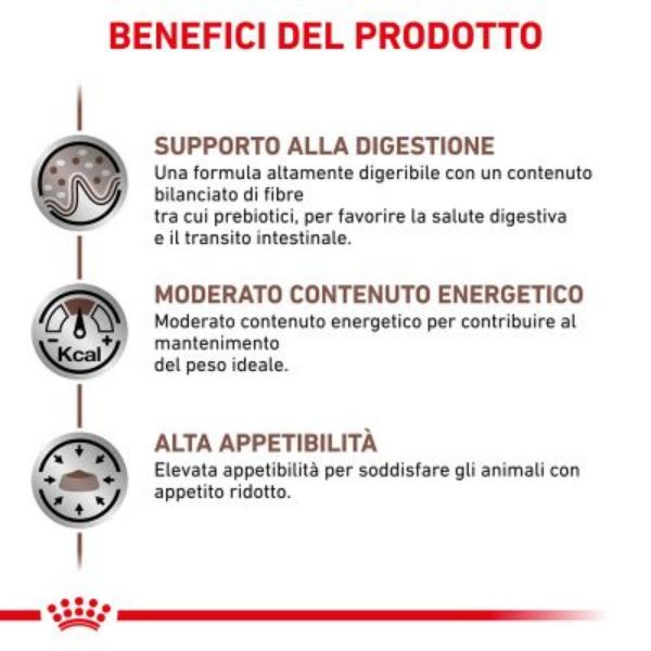 Bauzaar Royal Canin Gastrointestinal Moderate Calorie Feline Offerta temporanea