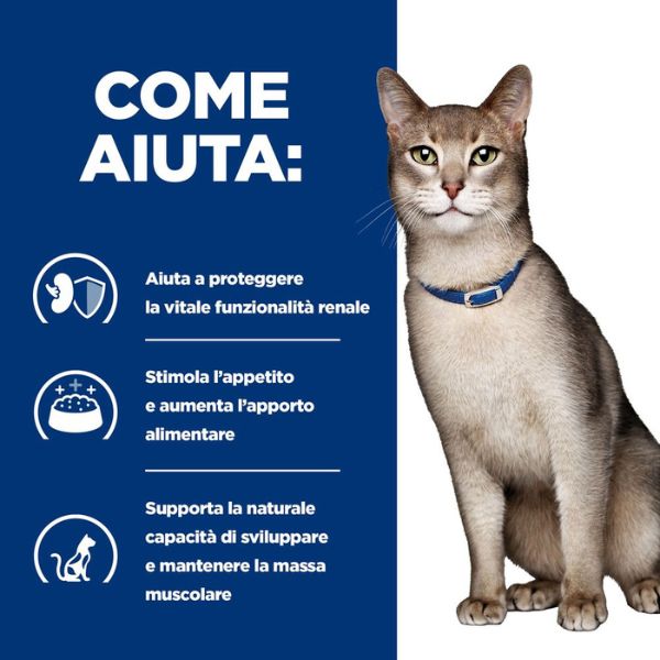 Bauzaar confezione da 12 Offerte esclusive