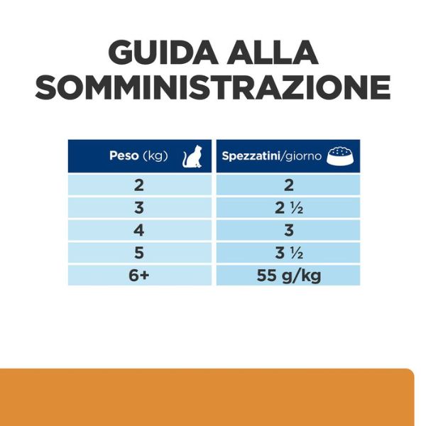 Bauzaar confezione da 12 Offerte esclusive