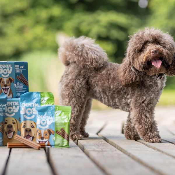 Bauzaar DentalJoy Dog Adult No Grain Mini Snack Dentali Lightning offer