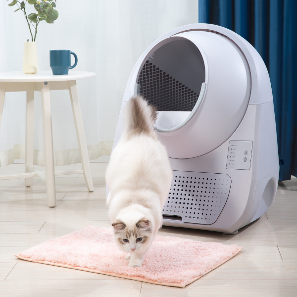 Bauzaar Lettiera autopulente per gatti Scooper Young CatLink (no Wi-fi) Grandi sconti