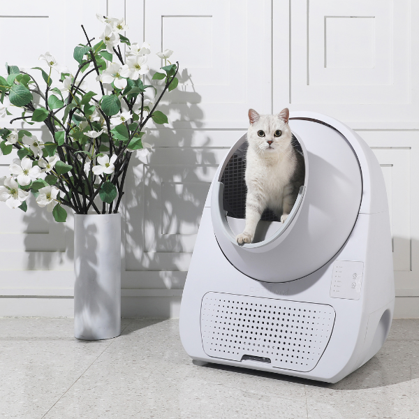 Bauzaar Lettiera autopulente per gatti Scooper Young CatLink (no Wi-fi) Grandi sconti