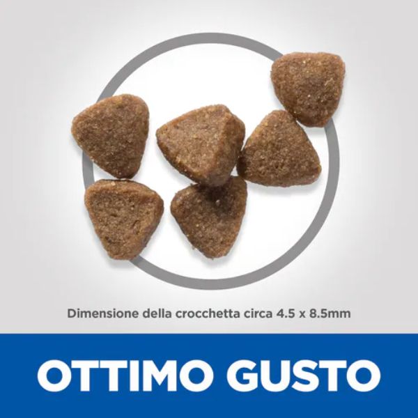 Bauzaar Hill's Science Plan Kitten Alimento per gattini con Pollo Enormi risparmi