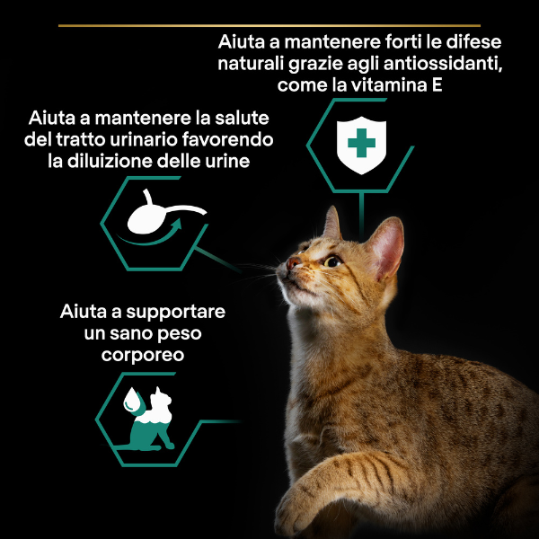 Bauzaar Purina Pro Plan Cat Adult Sterilised Maintenance Terrine Multipack 12x85g Ritorno libero