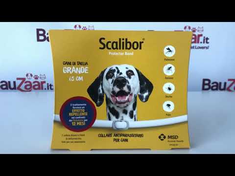 Bauzaar Scalibor Collare Antiparassitario per Cani Rilascio limitato