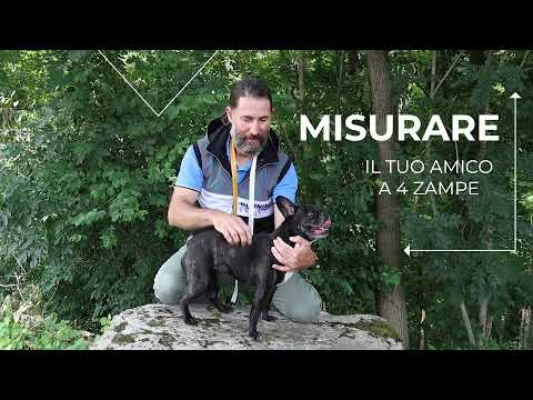 Bauzaar Cappotto Impermeabile per cani Montreal Croci Ultimo giorno